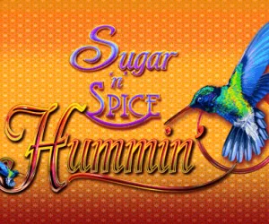 Sugar N Spice Hummin