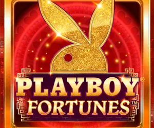Playboy Fortunes