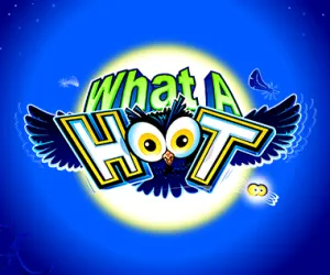 What A Hoot