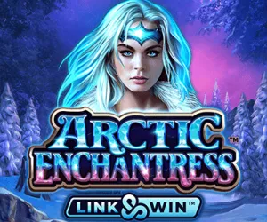 Arctic Enchantress