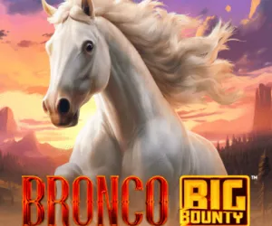 Bronco Big Bounty