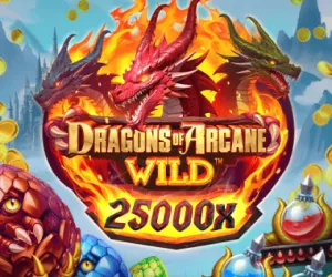 DRAGONS OF ARCANE WILD