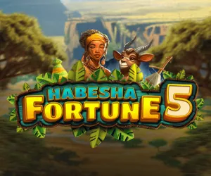 Habesha Fortune 5