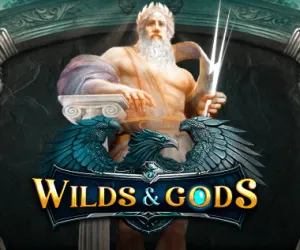 Wilds&Gods