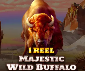 1 Reel - Majestic Wild Buffalo