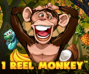 1 Reel Monkey