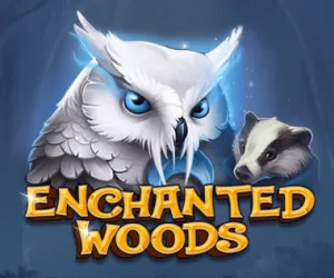 Enchanted Woods