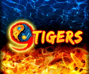 9 Tigers
