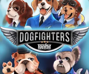 DogFighters - Their Finest Hour